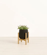 Load image into Gallery viewer, Black stand:bamboo