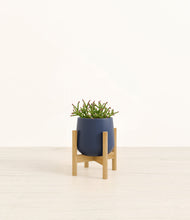Load image into Gallery viewer, Deep Navy stand:bamboo