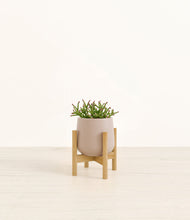 Load image into Gallery viewer, Eternal Gray stand:bamboo