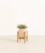 Load image into Gallery viewer, Gentle Pink stand:bamboo