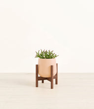 Load image into Gallery viewer, Gentle Pink stand:walnut