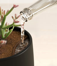 Load image into Gallery viewer, Black stand:all