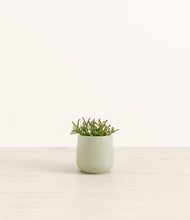 Load image into Gallery viewer, Turquoise*****Profile