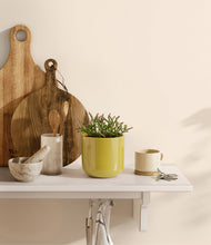 Load image into Gallery viewer, Key Lime Yellow