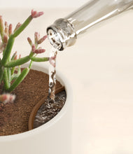 Load image into Gallery viewer, Cotton White stand:all