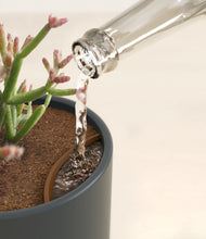 Load image into Gallery viewer, Iron Gray stand:all