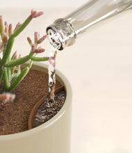 Load image into Gallery viewer, Sage Green stand:all