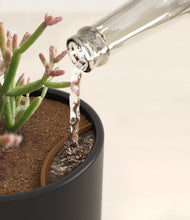 Load image into Gallery viewer, Stone Black stand:all