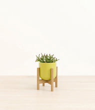 Load image into Gallery viewer, Key Lime Yellow stand:bamboo