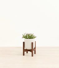 Load image into Gallery viewer, Cotton White stand:walnut