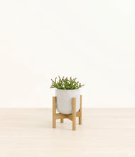Load image into Gallery viewer, Hammered Ivory stand:bamboo