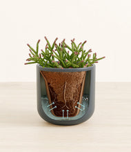 Load image into Gallery viewer, Iron Gray stand:all