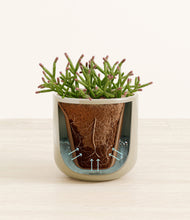 Load image into Gallery viewer, Sage Green stand:all