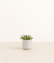 Load image into Gallery viewer, Snowdrift White*****Profile