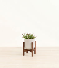 Load image into Gallery viewer, Snowdrift White stand:walnut