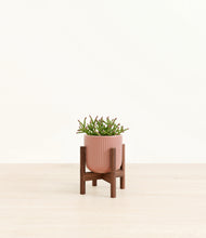 Load image into Gallery viewer, Striped Rose Pink stand:walnut