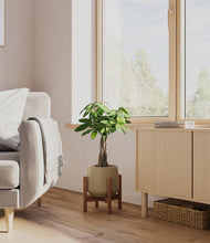 Load image into Gallery viewer, Olive stand:walnut