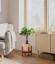 Load image into Gallery viewer, Gentle Pink stand:walnut