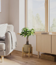 Load image into Gallery viewer, Olive stand:bamboo