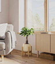 Load image into Gallery viewer, Almond Green stand:bamboo