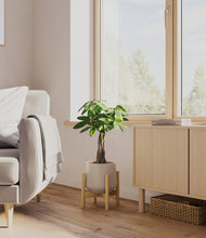 Load image into Gallery viewer, Eternal Gray stand:bamboo