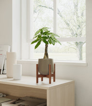 Load image into Gallery viewer, Olive stand:walnut