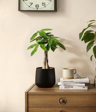 Load image into Gallery viewer, Black