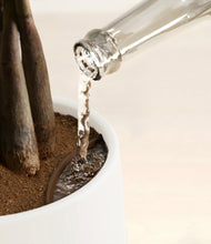 Load image into Gallery viewer, White stand:all