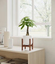 Load image into Gallery viewer, White stand:walnut