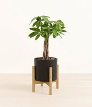 Load image into Gallery viewer, Black stand:bamboo