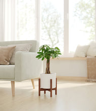 Load image into Gallery viewer, White stand:walnut