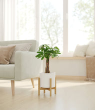 Load image into Gallery viewer, White stand:bamboo