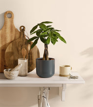 Load image into Gallery viewer, Iron Gray