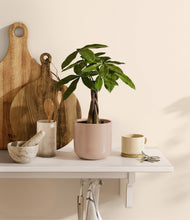 Load image into Gallery viewer, Sandy Pink