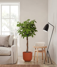 Load image into Gallery viewer, Earth Red