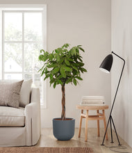 Load image into Gallery viewer, Iron Gray