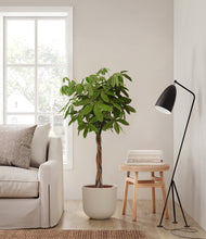 Load image into Gallery viewer, Natural Bamboo