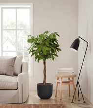 Load image into Gallery viewer, Stone Black