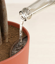 Load image into Gallery viewer, Earth Red stand:all