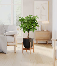 Load image into Gallery viewer, Stone Black stand:bamboo