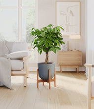 Load image into Gallery viewer, Iron Gray stand:bamboo