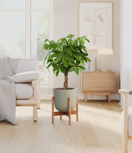 Load image into Gallery viewer, Sage Green stand:bamboo