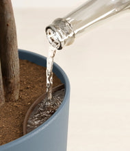 Load image into Gallery viewer, Iron Gray stand:all