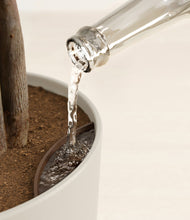 Load image into Gallery viewer, Natural Bamboo stand:all