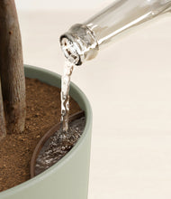 Load image into Gallery viewer, Sage Green stand:all