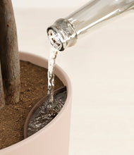 Load image into Gallery viewer, Sandy Pink stand:all