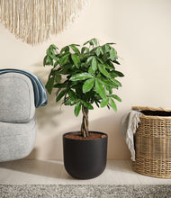 Load image into Gallery viewer, Stone Black