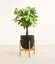 Load image into Gallery viewer, Stone Black stand:bamboo