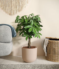 Load image into Gallery viewer, Sandy Pink