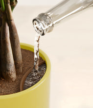 Load image into Gallery viewer, Key Lime Yellow stand:all